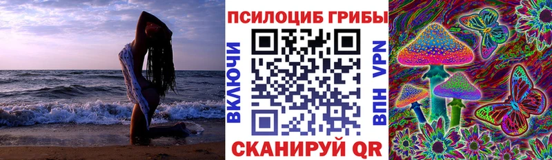 blacksprut вход  Михайловск  Псилоцибиновые грибы мицелий 